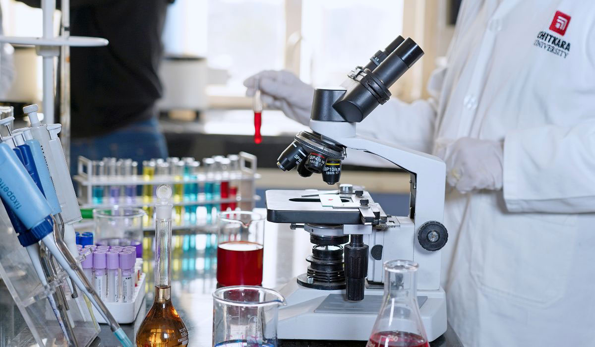 Pharmacovigilance Degree