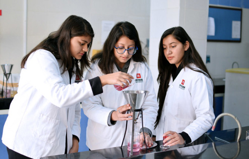 B. Pharm Chitkara University