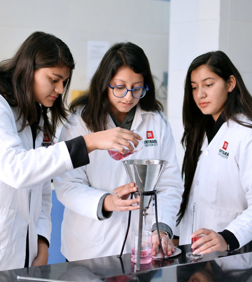 B. Pharm Chitkara University