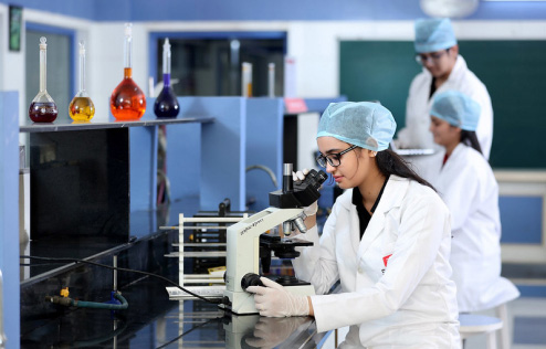 Pharm. D Chitkara University