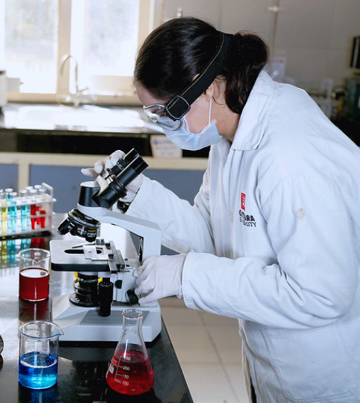 M Pharm Chitkara University