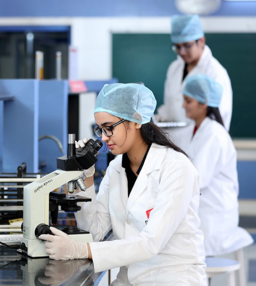 Pharm. D Chitkara University