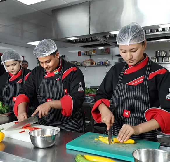 Hospitality Chitkara University