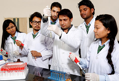 Doctor of Pharmacy Chitkara
