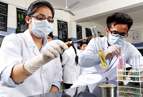Doctor of Pharmacy Chitkara