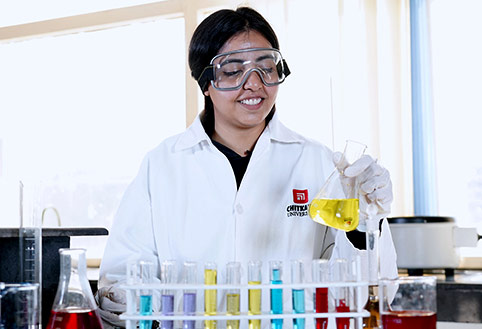 Pharma D Chitkara University