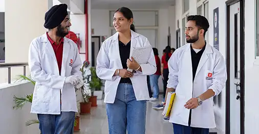 Physician Associate Studies